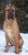 Mastro sit snow