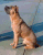 Romeo 14 months