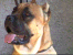 Nuccio 18 months