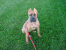 Giulietta 5 1/2 months