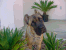 Nicoletta 4 1/2 months