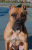 Giulietta 14 1/2 months