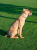 Giulietta 7 1/2 months