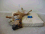 Romeo 1 year