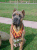 Romeo 15 months