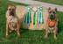 Giulietta and Romeo