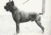 060702 giulietta standing.png