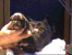 Img74.png