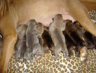 Feeding Time!