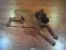 Nicoletta 8 months
