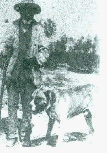 Cane Corso 1920's