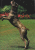 Arras jump